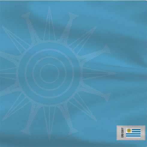 Uruguay Soccer Flag Wii Remote Controller Skin